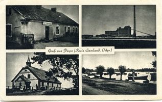 Peyse, Kreis Samland 