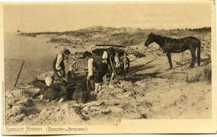  Kurische Nehrung, Fuhrwerk im Triebsande Kurische Nehrung, Dünen
