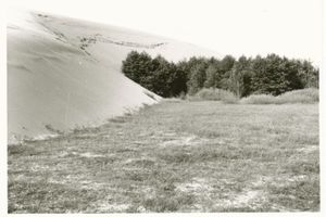  Kurische Nehrung, Unter der Wanderdüne sterbender Wald II Kurische Nehrung, Dünen
