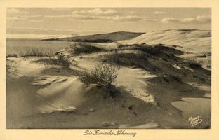  Kurische Nehrung, Dünen IX Kurische Nehrung, Dünen