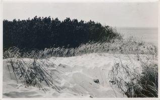 Cranz Kr. Samland, Ort, Kreis Samland Cranz, Seedüne zwischen Cranz und Sarkau Kurische Nehrung, Dünen