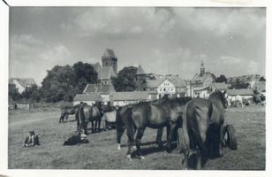 Mohrungen, Stadt, Kreis Mohrungen Mohrungen, Pferdemarkt 
