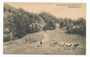 Miswalde, Kreis Mohrungen 