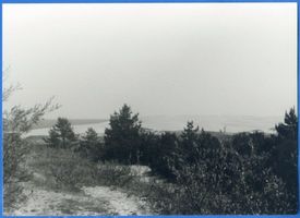 Nidden, Kreis Memel Nidden, Blick über die Düne auf das Haff V Нидден, вид с дюны на залив, V