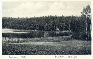 Passenheim, Stadt, Kreis Ortelsburg Passenheim, Dluseksee im Stadtwald 