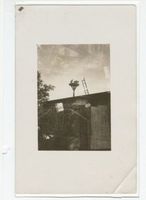 Rossitten Kr. Samland, Kreis Samland Rossitten Kr. Samland, Vogelwarte, Storchennest II Росситтен, р-н Самбия, орнитологическая станция, аистиное гнездо II