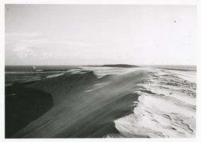  Kurische Nehrung, Dünen, Haffseite zwischen Pillkoppen und Rossitten Kurische Nehrung, Dünen