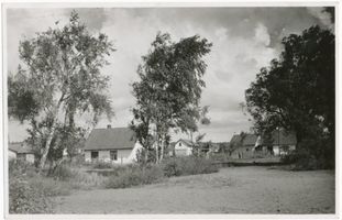 Sarkau, Kreis Samland Sarkau, Einzelhäuser III Заркау, отдельные дома, III