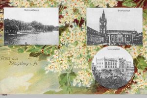 Königsberg (Pr.), Stadtkreis Königsberg 