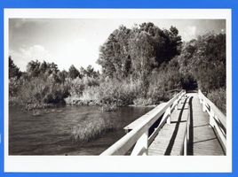 Osterode (Ostpr.), Kreis Osterode Osterode (Ostpr.), Holzbrücke am Bismarckturm II 
