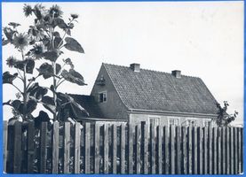  Frisches Haff, Fischerhaus am Haff Frische Nehrung - Frisches Haff