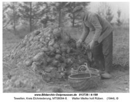 Tewellen, Kreis Elchniederung 