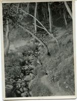 Warnicken, Kreis Samland 