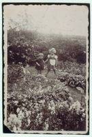 Schönlinde Kr. Gerdauen, Kreis Gerdauen 