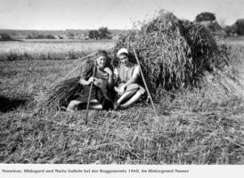 Neuwiese Kr. Labiau, Ort, Kreis Labiau 