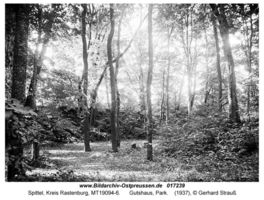 Spittel, Kreis Rastenburg 