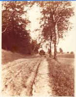  Ebenrode (Kreis), Weg nach Mehlkehmen am Berg Horeb 