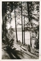 Niedersee, Kreis Sensburg Rudczanny, Am Niedersee III Masuren, Niedersee
