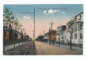 Königsberg (Pr.), Stadtkreis Königsberg Luisenallee Königsberg, Hufen, Luisenallee, Königsberg, Stadtteil Hufen