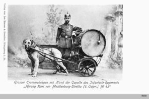 Königsberg (Pr.), Stadtkreis Königsberg 