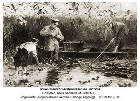 Rossitten Kr. Samland, Kreis Samland 