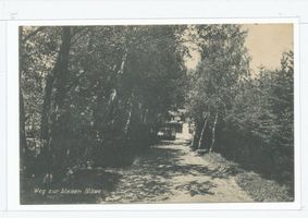 Seebad Rosehnen, Kreis Samland Rosehnen, Weg zum Kurhaus Blaue Möwe Besitzer Ernst Liebmann 
