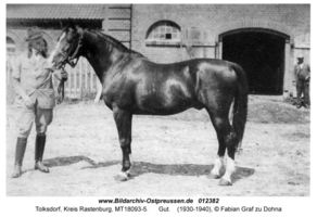 Tolksdorf Kr. Rastenburg, Kreis Rastenburg 