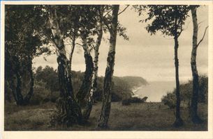 Rauschen Kr. Samland, Kreis Samland Rauschen Kr. Samland, Birken an der See 
