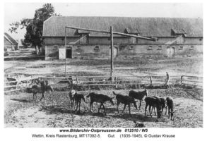 Wettin, Kreis Rastenburg 