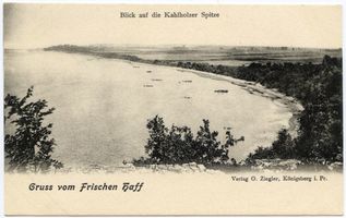  Frisches Haff, Blick auf die Kahlholzer Spitze 