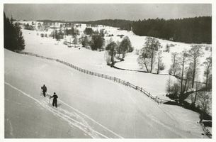  Rominter Heide, Winterlandschaft I Роминтенская пуща, зимний пейзаж, I