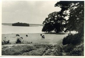  Am Talter See I 