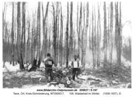 Tawe, Ort, Kreis Elchniederung 