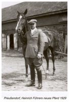 Pruszischken, Kreis Memel Prusischken, Heinrich Führers neues Pferd 