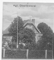 Tawellenbruch, Ort und Forstamt, Kreis Elchniederung Tawellenbruch fr. Tawellningken, Königl. Oberförsterei 