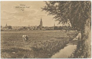 Elbing, Stadt, Stadtkreis Elbing Elbing, Blick auf die Stadt II 