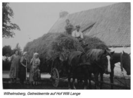 Wilhelmsberg Kr. Gumbinnen, Kreis Gumbinnen Wilhelmsberg  Kr.Gumbinnen, Getreideernte auf Hof Willi Lange 