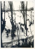 Königsberg (Pr.), Stadtkreis Königsberg Königsberg, Park Luisenwahl, Rodelbahn II Кёнигсберг, парк Луизенваль, санная горка II