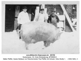 Kuckerneese, Ort, Kreis Elchniederung 