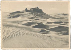  Kurische Nehrung, Die Wunder der Dünenwelt III Куршская коса, чудеса мира дюн, III