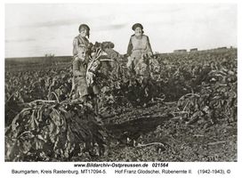 Baumgarten Kr. Rastenburg, Kreis Rastenburg 
