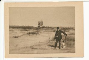 Rossitten Kr. Samland, Kreis Samland Rossitten Kr. Samland, Balzhabicht Blitz steigt 