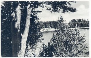  Lyck (Kreis) Herta-See VI Лык (округ), озеро Херта, VI