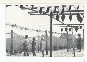 Cranz Kr. Samland, Ort, Kreis Samland 