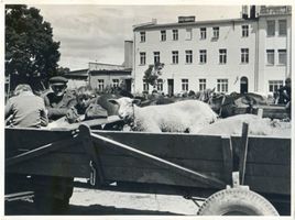 Lötzen, Stadt, Kreis Lötzen Lötzen, Markttag Лётцен, рыночный день
