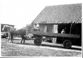 Wildwiese, Kreis Elchniederung 