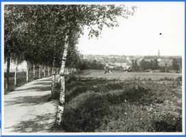 Angerapp, Stadt, Kreis Angerapp Angerapp, Ortsansicht mit Birkenweg 