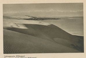  Kurische Nehrung, Blick von den Wanderdünen auf Pillkoppen III Куршская коса, вид с бродячих дюн на Пилькоппен III