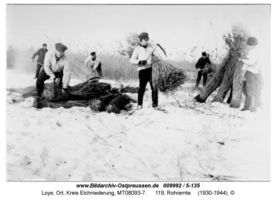 Loye, Ort, Kreis Elchniederung 