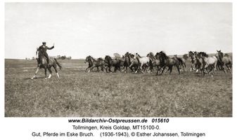 Tollmingen, Kreis Goldap  